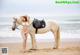 A woman in a bikini standing next to a horse on the beach.