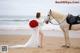 A woman in a white dress standing next to a white horse on the beach.